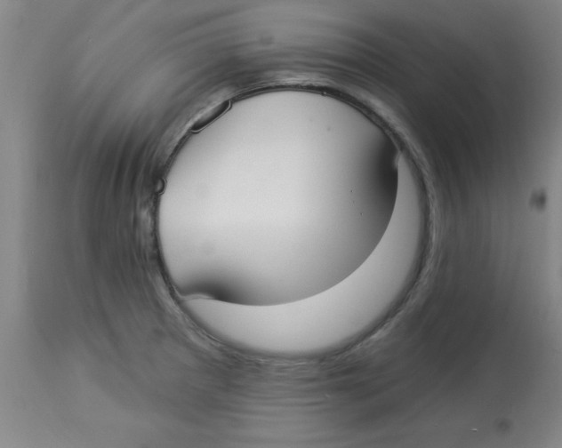 X0000112821281200909181616