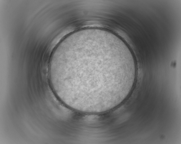 X0000112821282200909181616