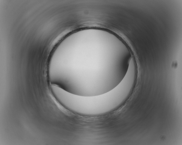 X0000112821285200909181616