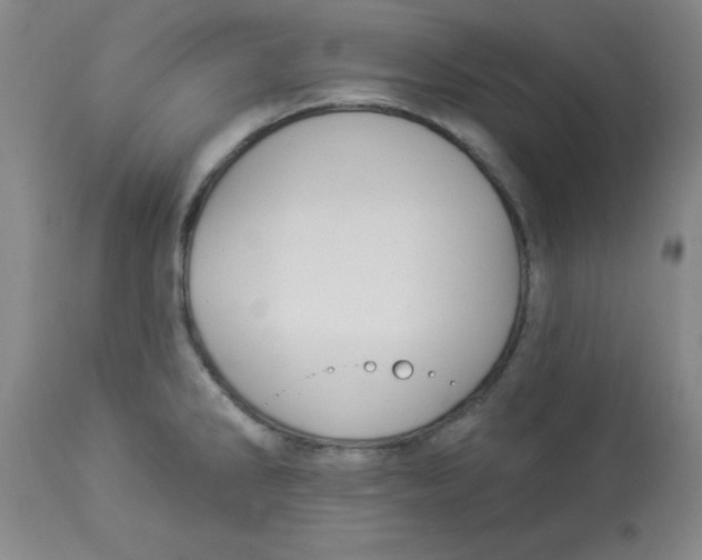 X0000112821286200909181616