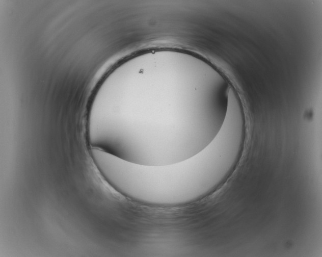 X0000112821288200909181616