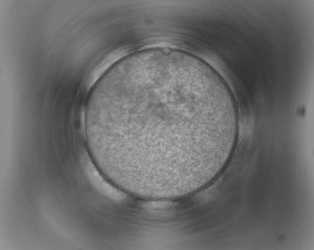 X0000112821290200909181616