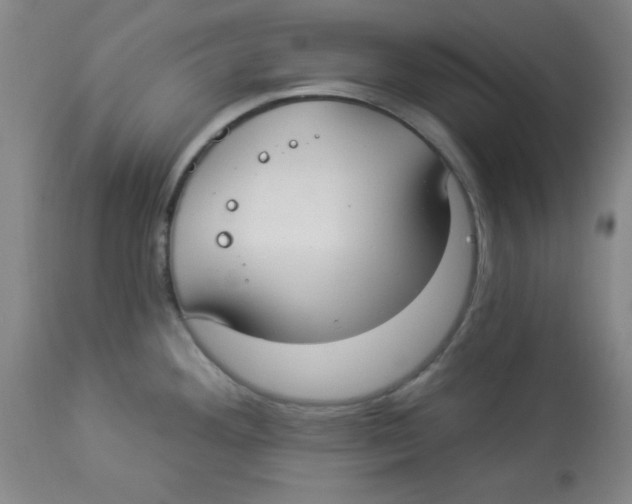 X0000112821292200909181616