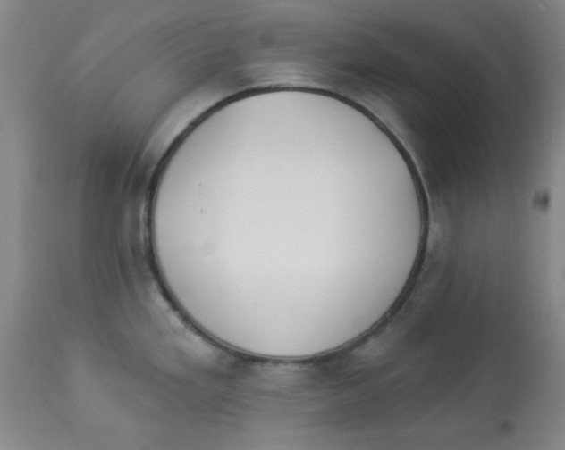 X0000112821293200909181616