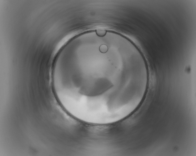 X0000112821294200909181616