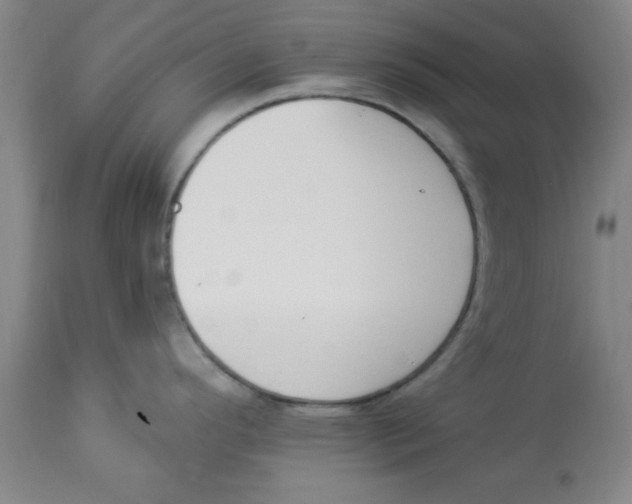 X0000112821296200909181616