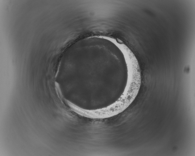 X0000112821297200909181615