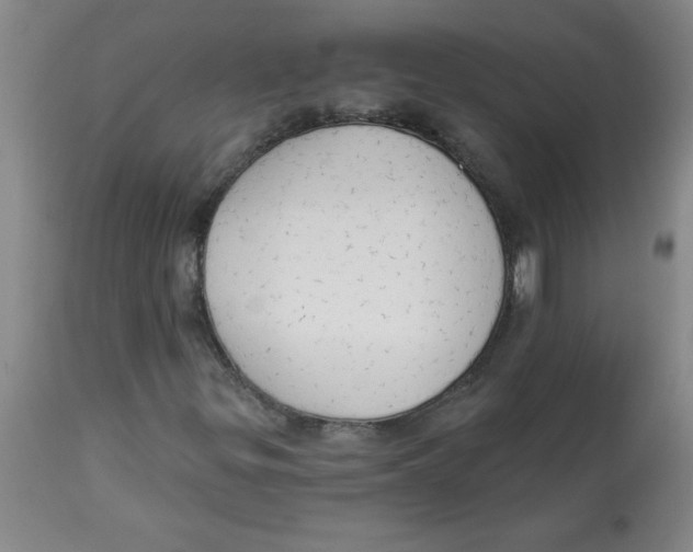 X0000112821299200909181615