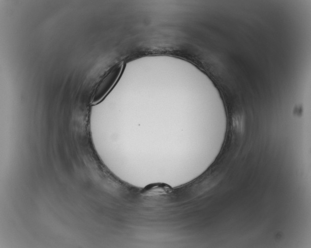 X0000112821300200909181615