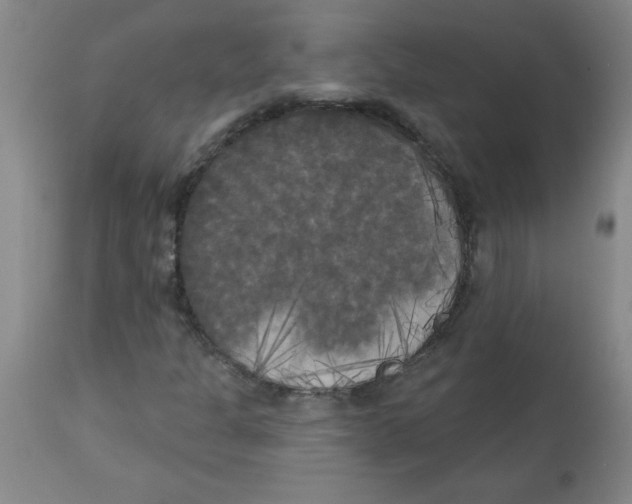 X0000112821301200909181615