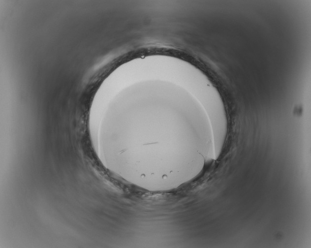 X0000112821303200909181615