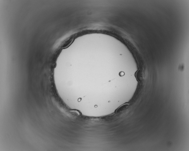 X0000112821304200909181615