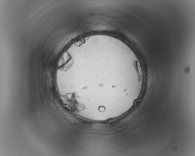 X0000112821305200909181615
