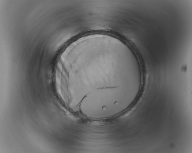 X0000112821306200909181616