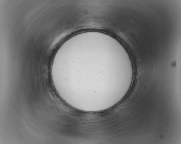 X0000112821307200909181616