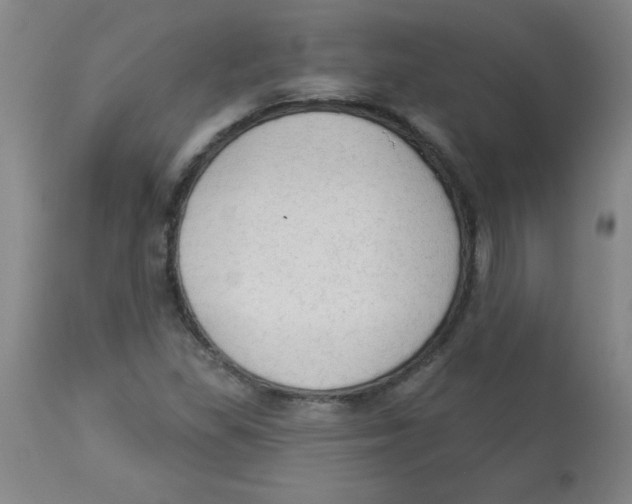 X0000112821309200909181616