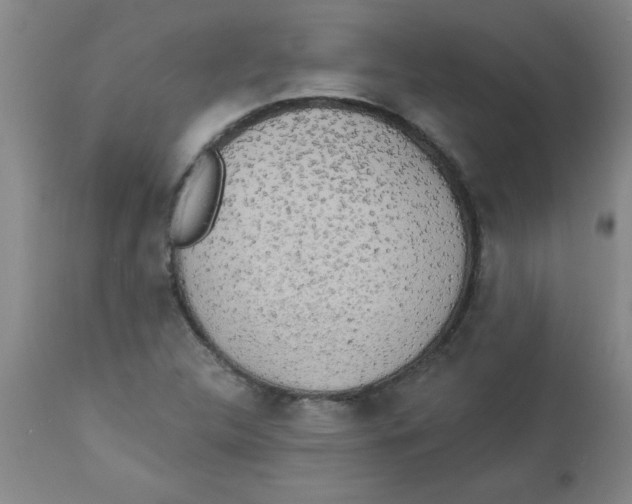 X0000112821312200909181616