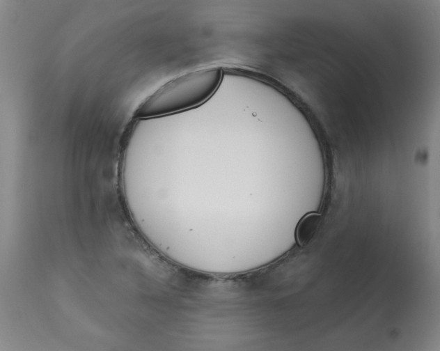 X0000112821316200909181616