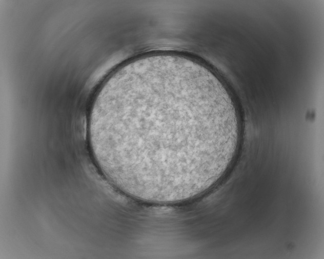 X0000112821317200909181616