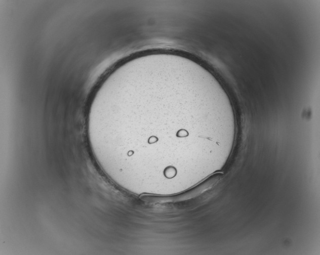 X0000112821318200909181616