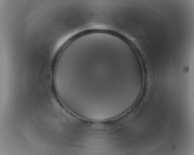 X0000112821319200909181616