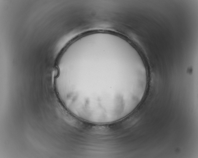 X0000112821320200909181616