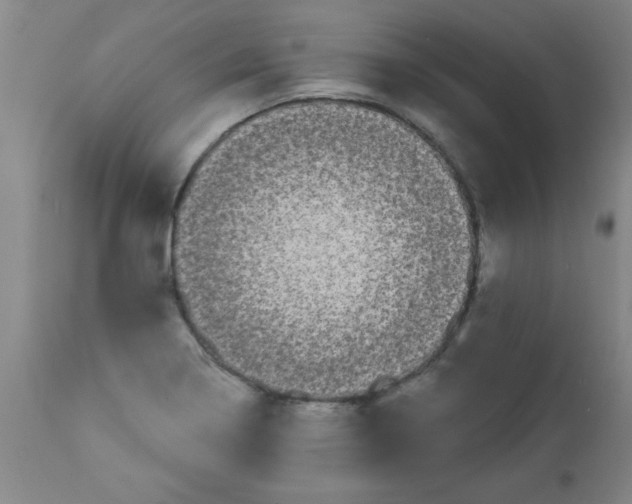 X0000112821322200909181616