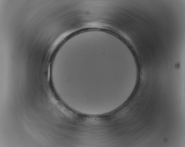 X0000112821323200909181616