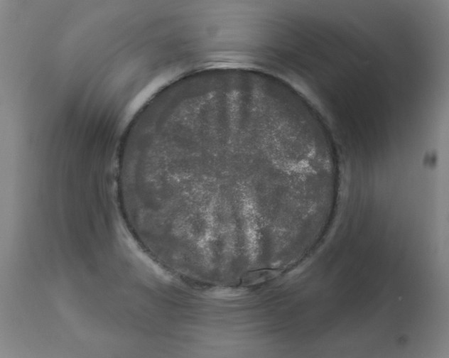 X0000112821325200909181616