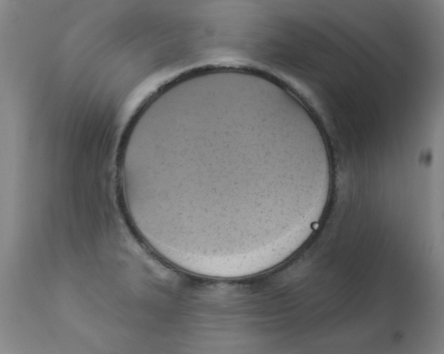 X0000112821327200909181616