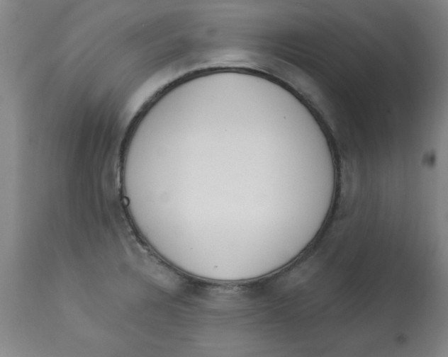 X0000112821328200909181616