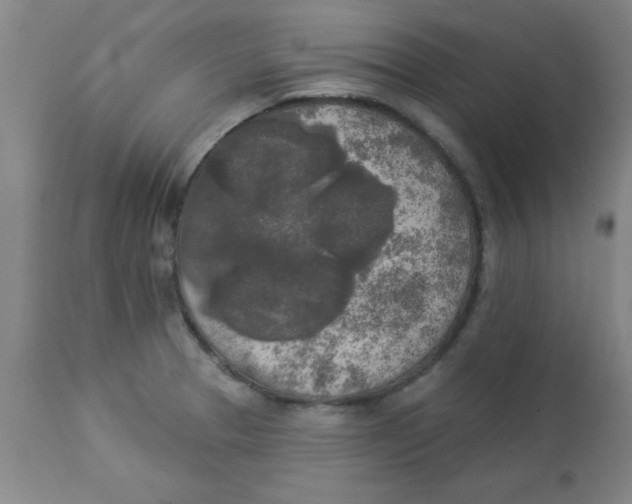 X0000112821329200909181616