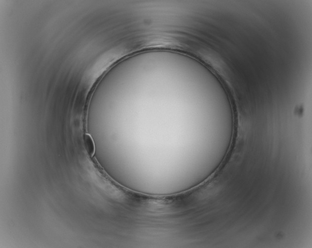 X0000112821330200909181616