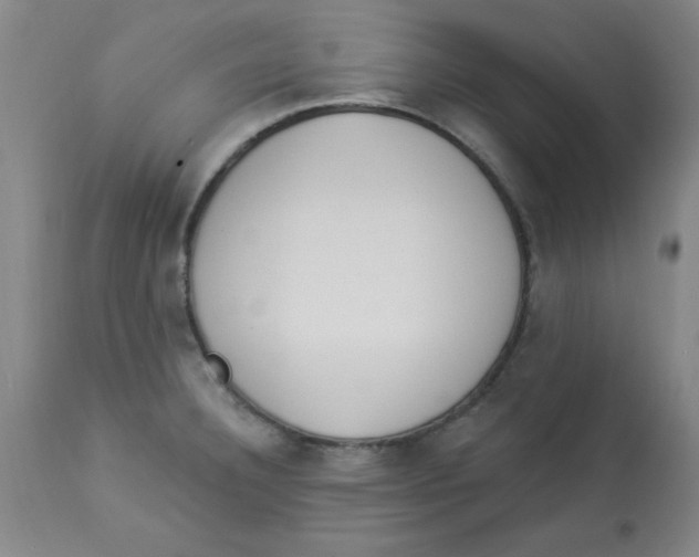 X0000112821332200909181616