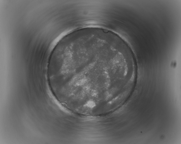 X0000112821333200909181616