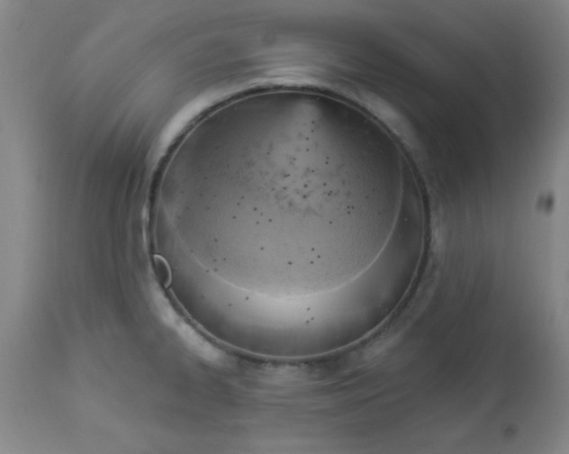 X0000112821334200909181616