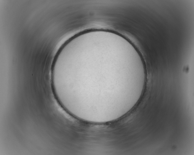 X0000112821335200909181616