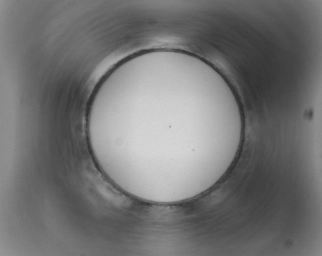 X0000112821336200909181616