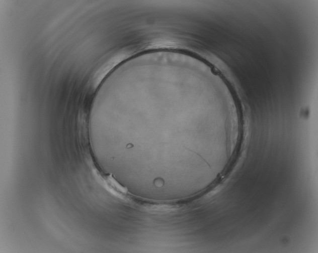 X0000112821337200909181616