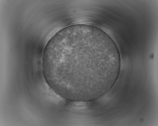 X0000112821338200909181616