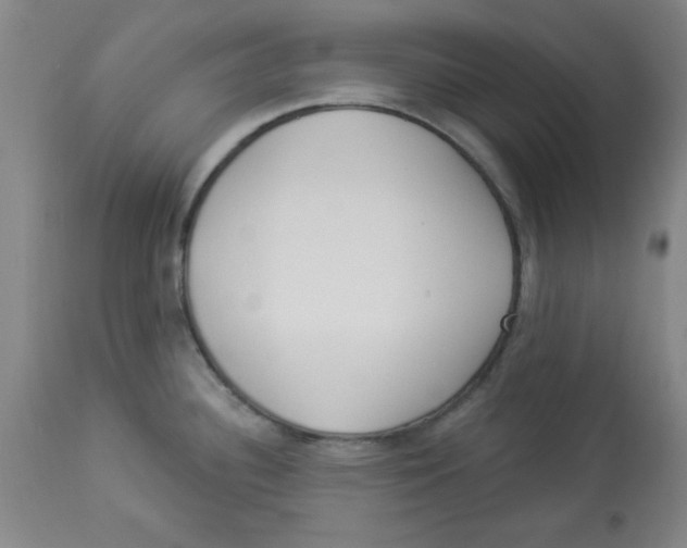 X0000112821340200909181616