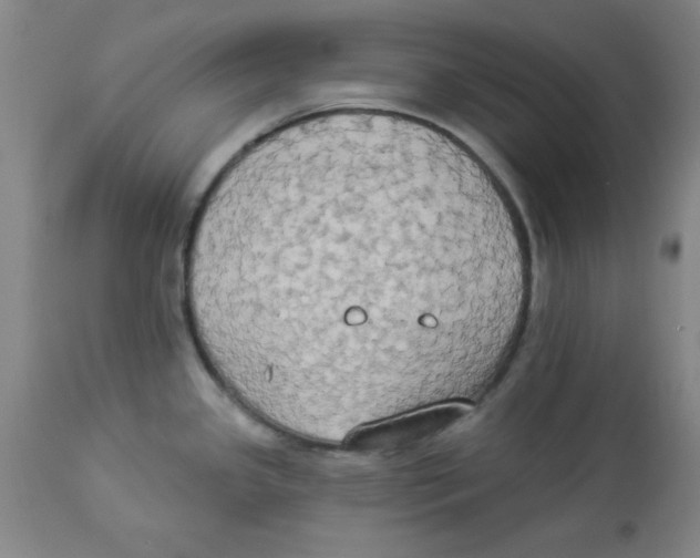 X0000112821341200909181616