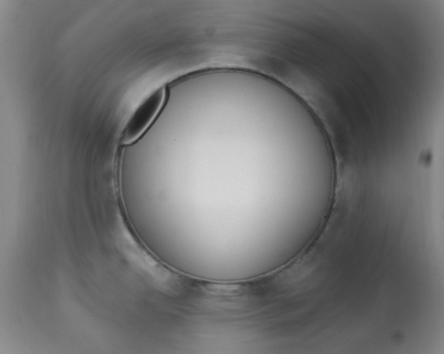 X0000112821342200909181616