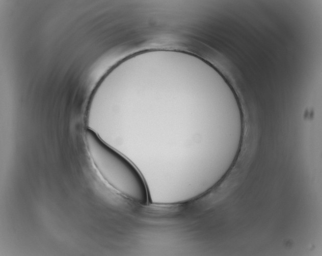 X0000112821344200909181616