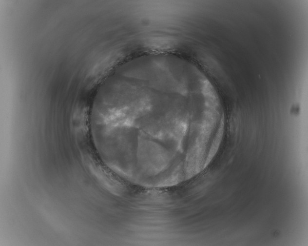 X0000112821346200909181615