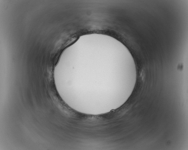 X0000112821348200909181615