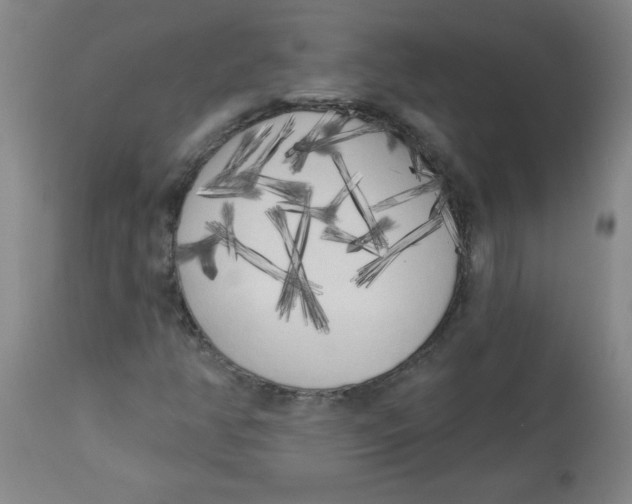 X0000112821350200909181615