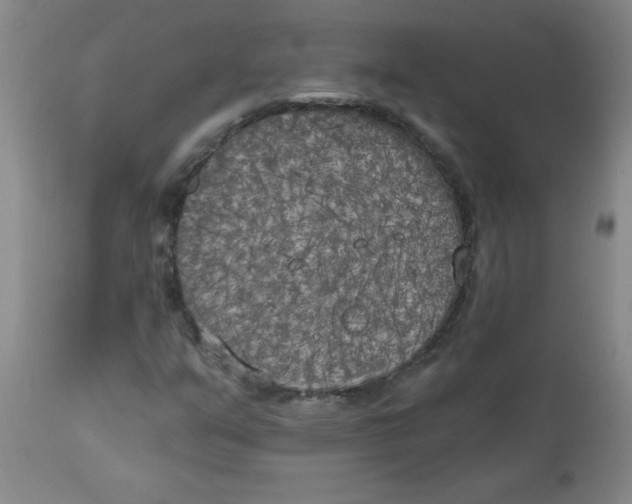 X0000112821351200909181615