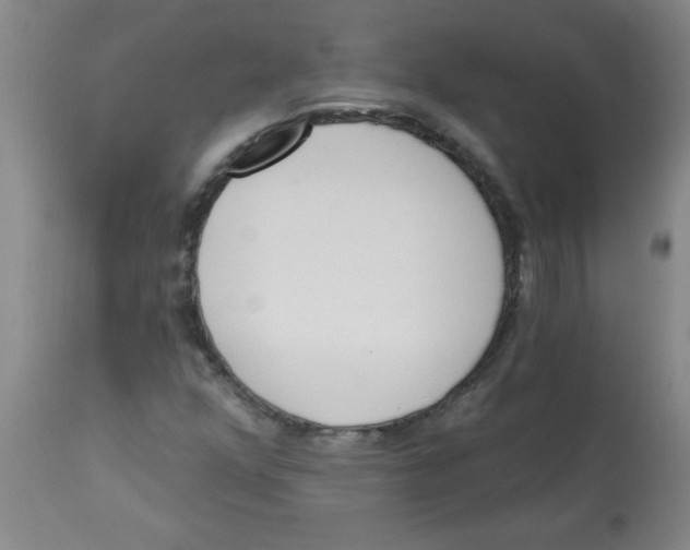 X0000112821352200909181615