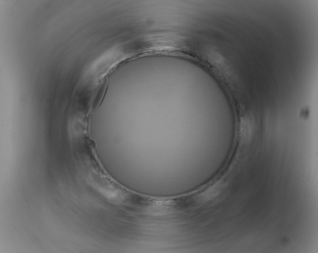 X0000112821353200909181615